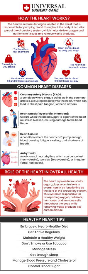 Prioritizing your heart health is essential for a long, healthy life. By making simple lifestyle changes like eating a balanced diet, staying active, and managing stress, you can reduce your risk of heart disease. Regular checkups with your healthcare provider also help monitor your heart's health and catch potential issues early. Take charge of your heart health today for a brighter, healthier tomorrow. For more information, contact us or book an appointment online. We are conveniently located at Niles Street, Brimhall Road, and Ming Avenue in Bakersfield, CA, and Fresno, CA. We serve patients from Bakersfield CA, Fresno CA, Clovis CA, Mayfair CA, Kayandee CA, Arvin CA, Fairfax CA, Rosedale CA, and surrounding areas. Prioritizing your heart health is essential for a long, healthy life. By making simple lifestyle changes like eating a balanced diet, staying active, and managing stress, you can reduce your risk of heart disease. Regular checkups with your healthcare provider also help monitor your heart's health and catch potential issues early. Take charge of your heart health today for a brighter, healthier tomorrow. For more information, contact us or book an appointment online. We are conveniently located at Niles Street, Brimhall Road, and Ming Avenue in Bakersfield, CA, and Fresno, CA. We serve patients from Bakersfield CA, Fresno CA, Clovis CA, Mayfair CA, Kayandee CA, Arvin CA, Fairfax CA, Rosedale CA, and surrounding areas.